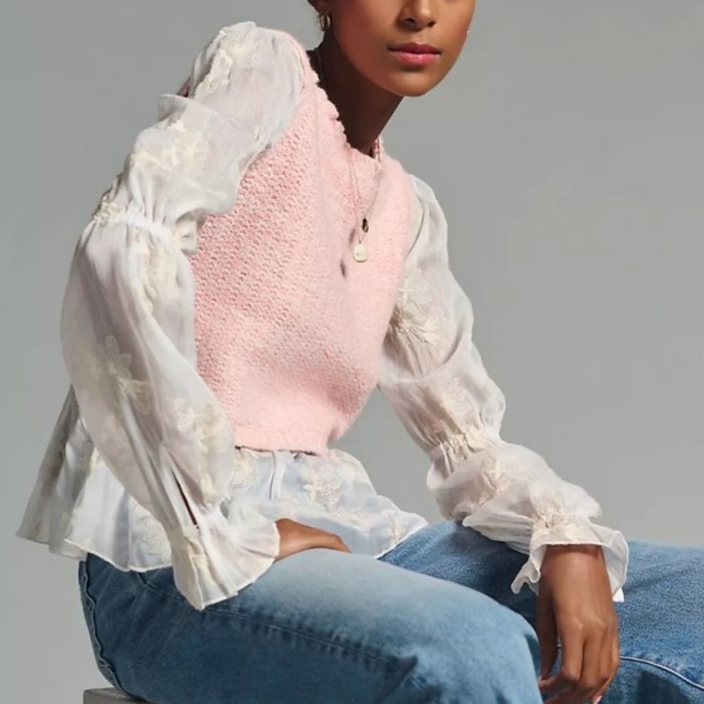 Anthropologie Blush Knit Sweater with Sheer Sleeves